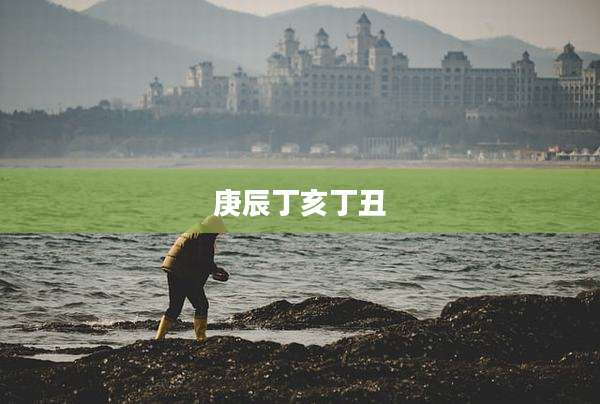 庚辰丁亥丁丑