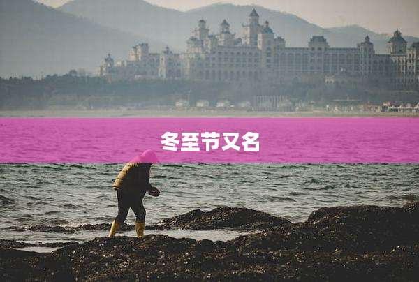 冬至节又名