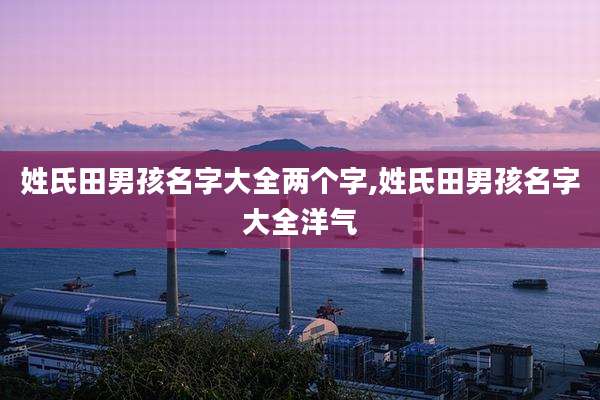姓氏田男孩名字大全两个字,姓氏田男孩名字大全洋气