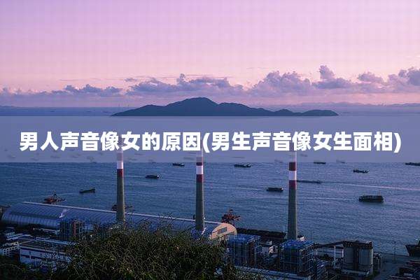 男人声音像女的原因(男生声音像女生面相)