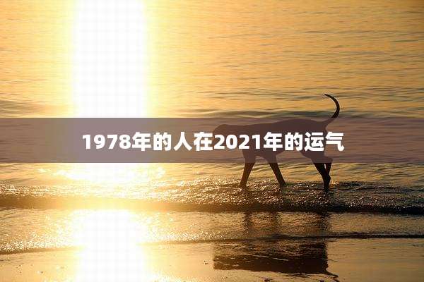 1978年的人在2021年的运气