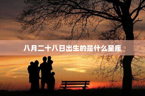 八月二十八日出生的是什么星座