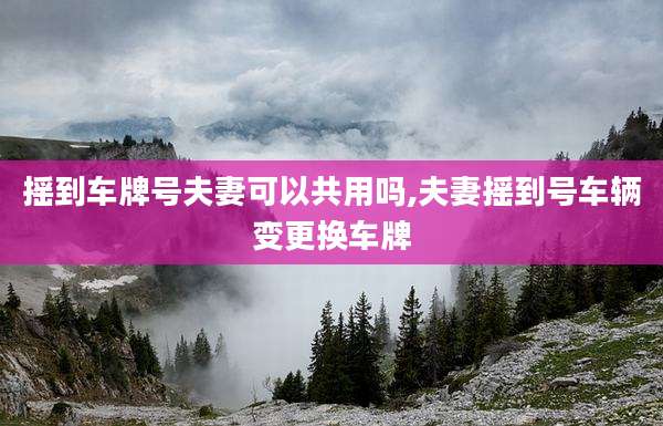 摇到车牌号夫妻可以共用吗,夫妻摇到号车辆变更换车牌