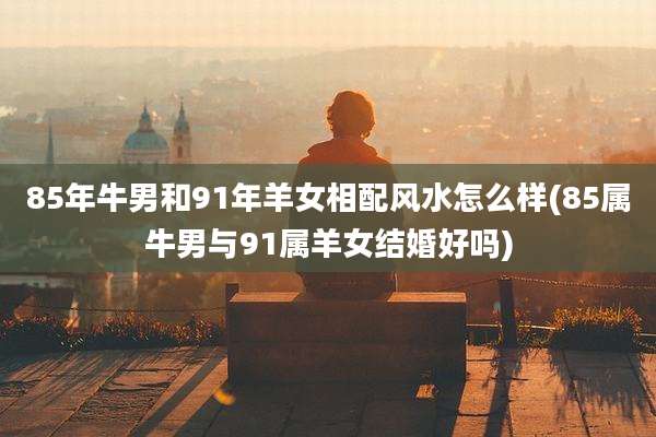 85年牛男和91年羊女相配风水怎么样(85属牛男与91属羊女结婚好吗)