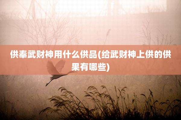 供奉武财神用什么供品(给武财神上供的供果有哪些)