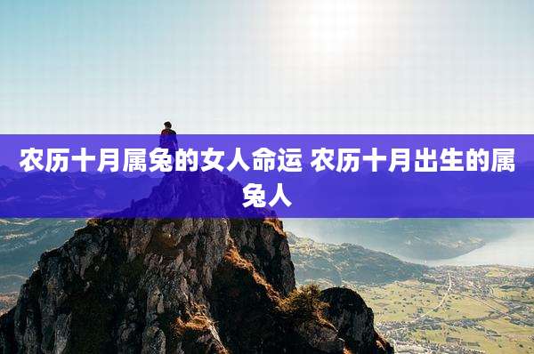 农历十月属兔的女人命运 农历十月出生的属兔人