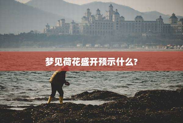 梦见荷花盛开预示什么?
