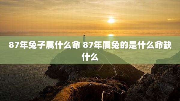 87年兔子属什么命 87年属兔的是什么命缺什么