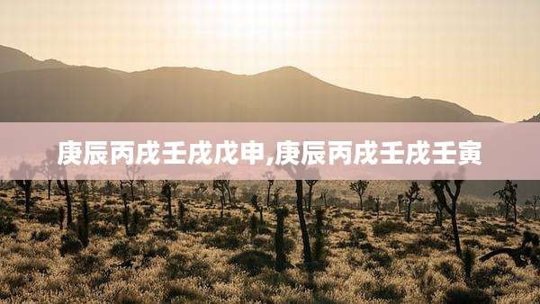 庚辰丙戌壬戌戊申,庚辰丙戌壬戌壬寅