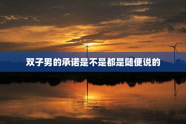 双子男的承诺是不是都是随便说的