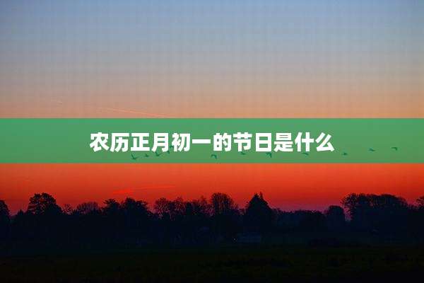 农历正月初一的节日是什么