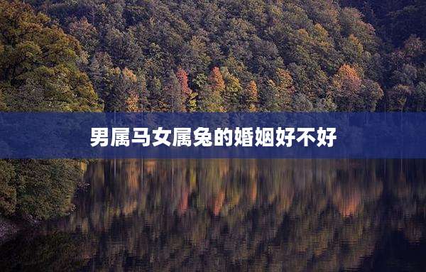 男属马女属兔的婚姻好不好