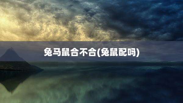 兔马鼠合不合(兔鼠配吗)