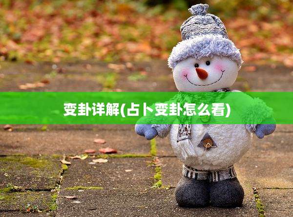 变卦详解(占卜变卦怎么看)