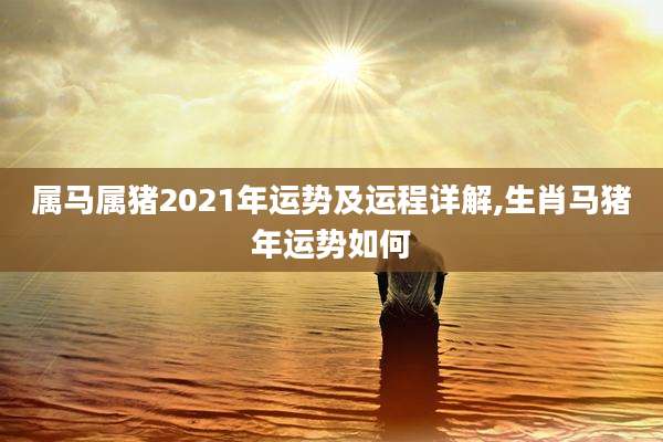 属马属猪2021年运势及运程详解,生肖马猪年运势如何