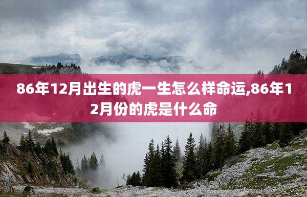 86年12月出生的虎一生怎么样命运,86年12月份的虎是什么命