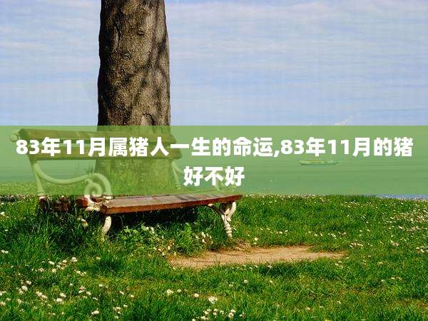 83年11月属猪人一生的命运,83年11月的猪好不好