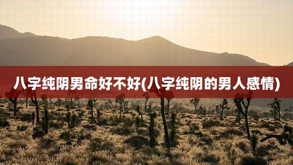 八字纯阴男命好不好(八字纯阴的男人感情)