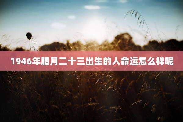 1946年腊月二十三出生的人命运怎么样呢