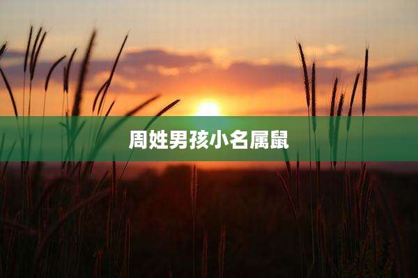 周姓男孩小名属鼠