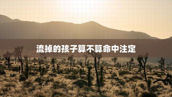 流掉的孩子算不算命中注定