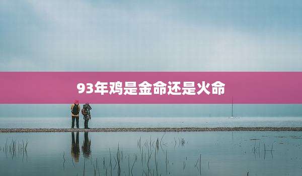 93年鸡是金命还是火命