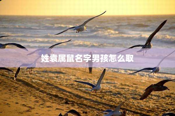 姓袁属鼠名字男孩怎么取
