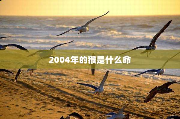 2004年的猴是什么命