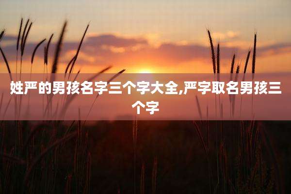 姓严的男孩名字三个字大全,严字取名男孩三个字