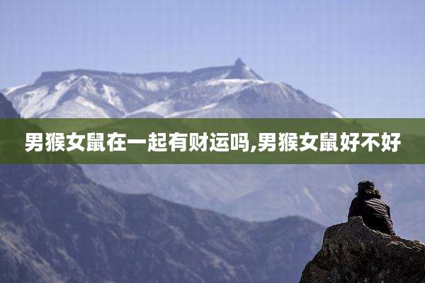 男猴女鼠在一起有财运吗,男猴女鼠好不好