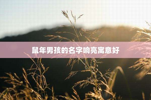 鼠年男孩的名字响亮寓意好