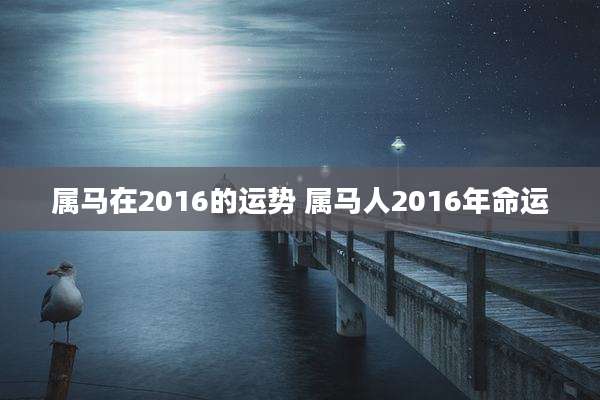 属马在2016的运势 属马人2016年命运