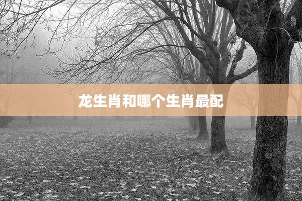 龙生肖和哪个生肖最配