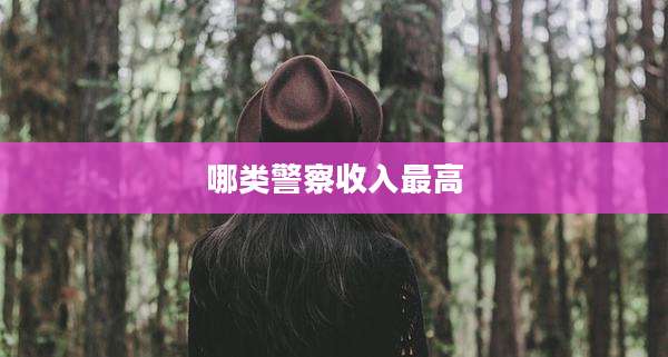 哪类警察收入最高