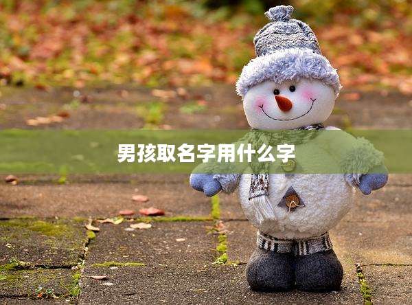 男孩取名字用什么字