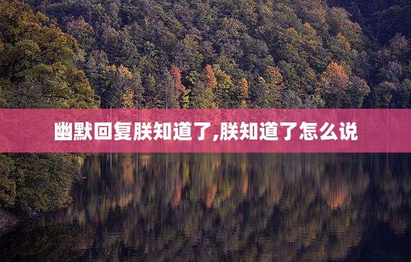 幽默回复朕知道了,朕知道了怎么说
