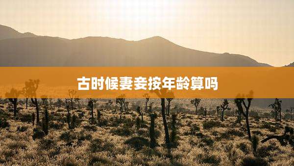 古时候妻妾按年龄算吗