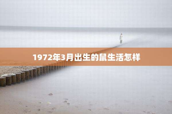 1972年3月出生的鼠生活怎样