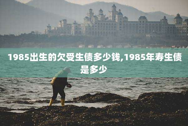 1985出生的欠受生债多少钱,1985年寿生债是多少