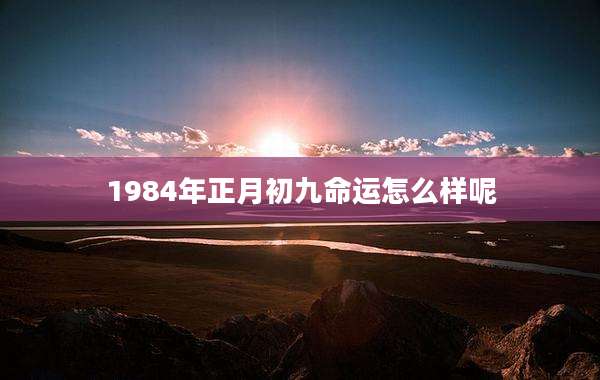 1984年正月初九命运怎么样呢
