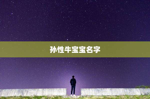 孙性牛宝宝名字