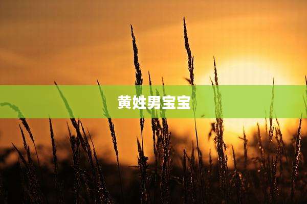 黄姓男宝宝