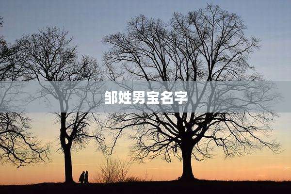 邹姓男宝名字