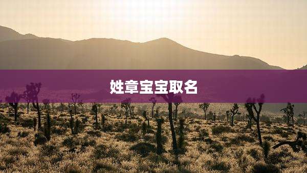 姓章宝宝取名
