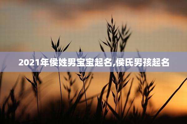 2021年侯姓男宝宝起名,侯氏男孩起名
