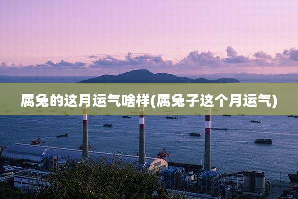 属兔的这月运气啥样(属兔子这个月运气)