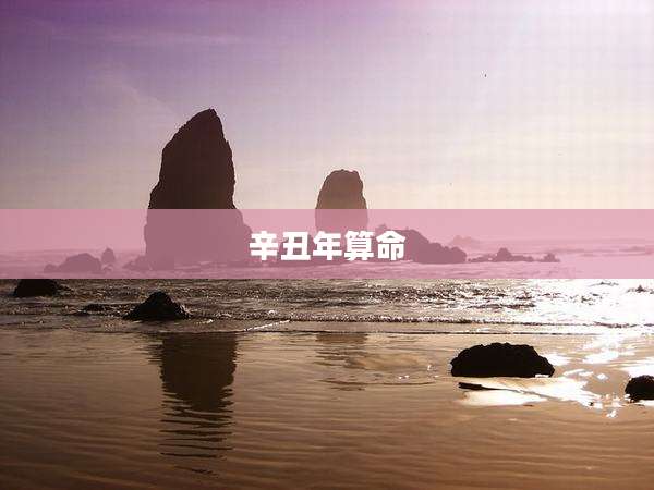 辛丑年算命