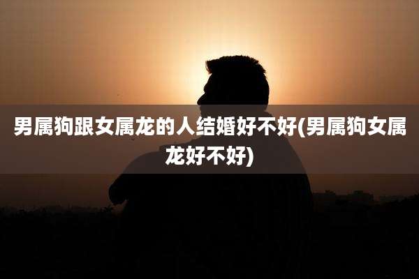 男属狗跟女属龙的人结婚好不好(男属狗女属龙好不好)