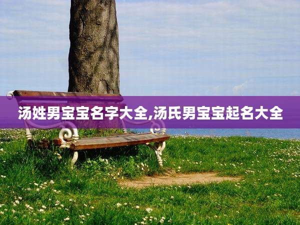 汤姓男宝宝名字大全,汤氏男宝宝起名大全
