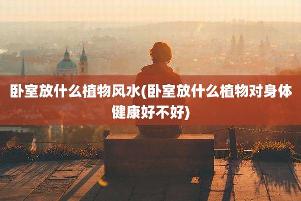 卧室放什么植物风水(卧室放什么植物对身体健康好不好)